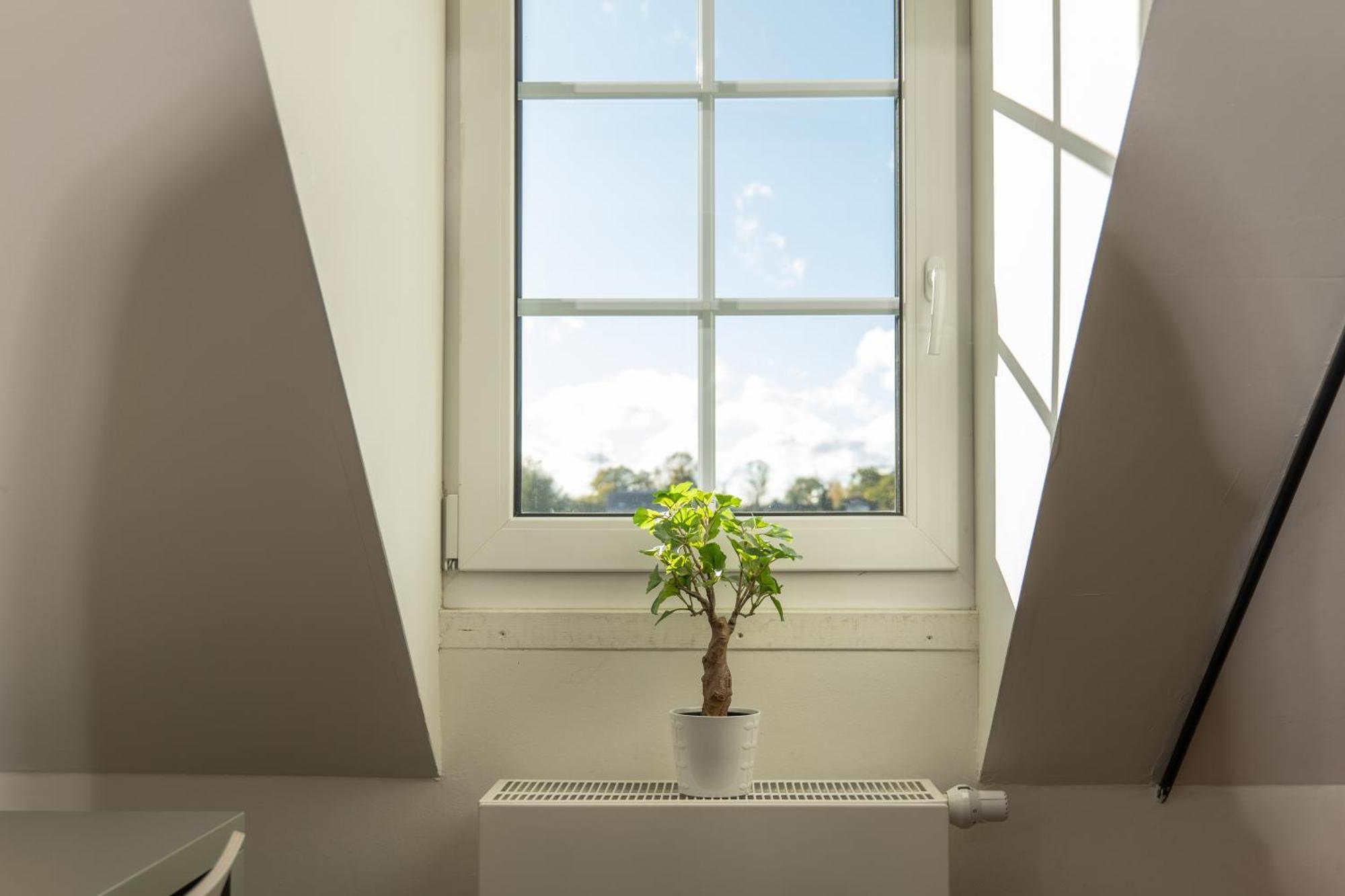 Haus Overbach Jülich Kültér fotó